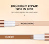 2-in-1 Highlighter and Concelear Stick